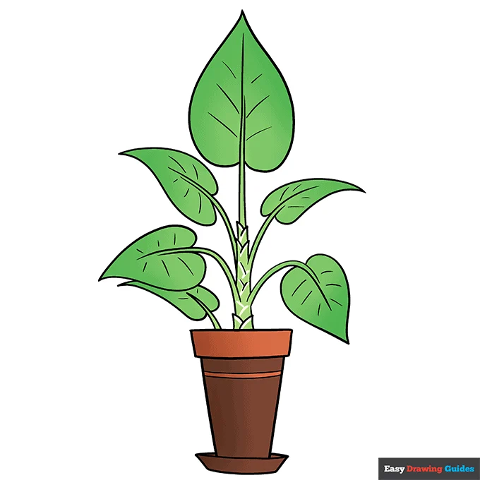 vegetable-seeds-combo